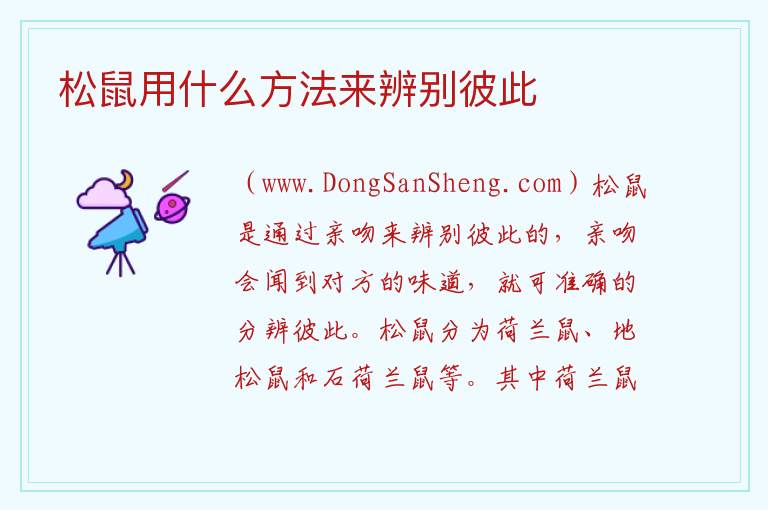 松鼠用什么方法来辨别彼此 