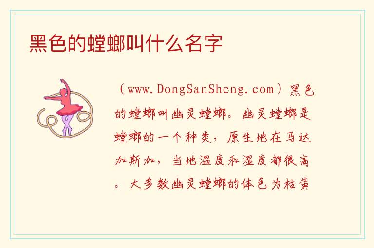 黑色的螳螂叫什么名字 