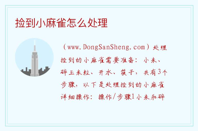 捡到小麻雀怎么处理 