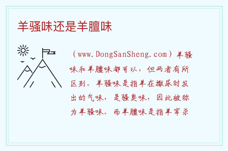 羊骚味还是羊膻味 