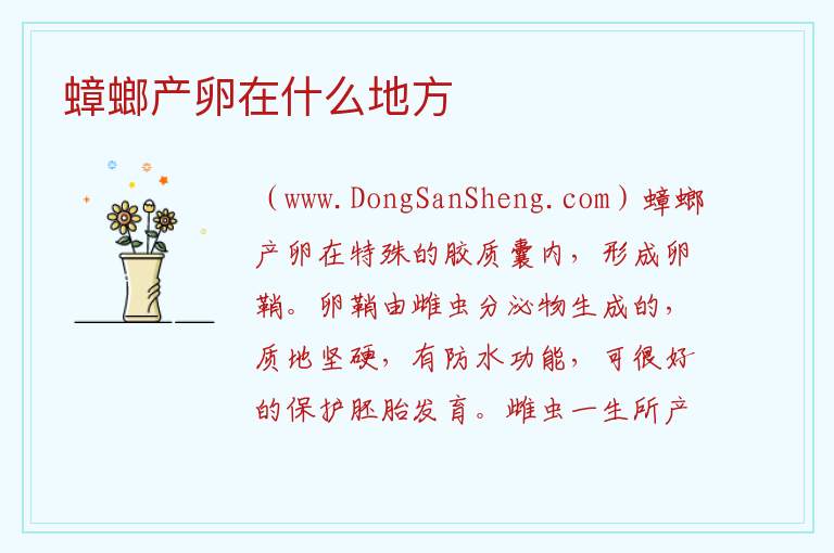 蟑螂产卵在什么地方 