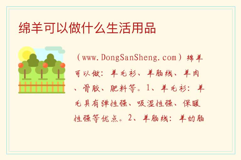 绵羊可以做什么生活用品 