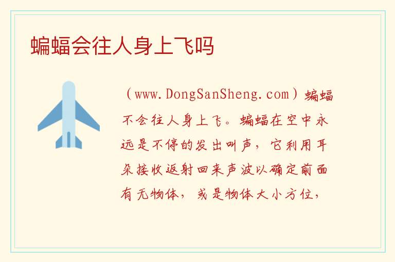 蝙蝠为啥会往家里飞，蝙蝠为啥会往家里飞