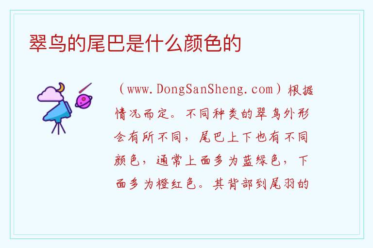 翠鸟的尾巴是什么颜色的 