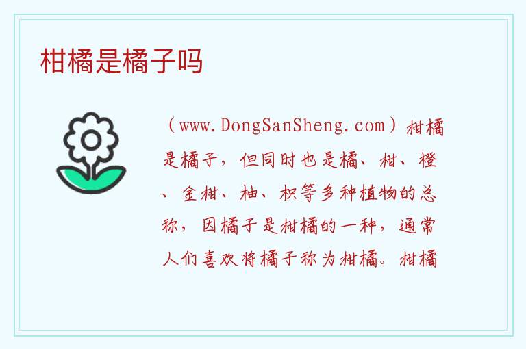 柑橘是橘子吗 