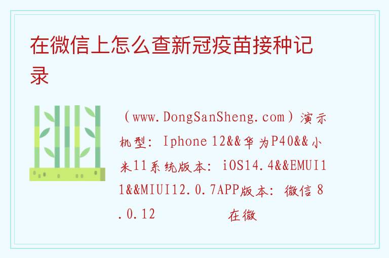 在微信上怎么查新冠疫苗接种记录 