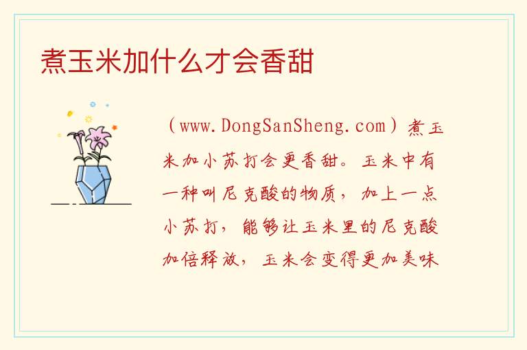 煮玉米加什么才会香甜 