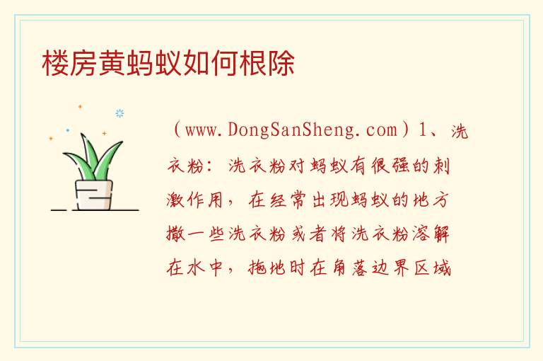 楼房黄蚂蚁如何根除 
