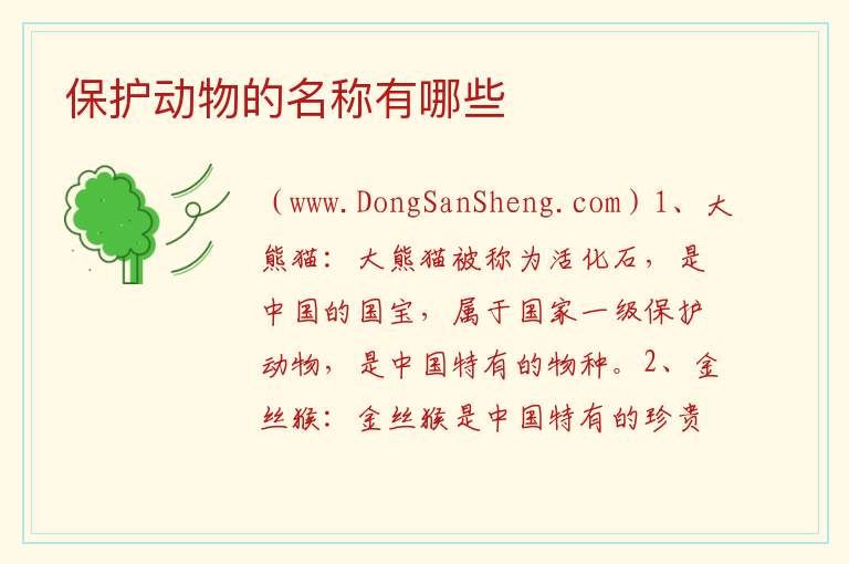 保护动物的名称有哪些 