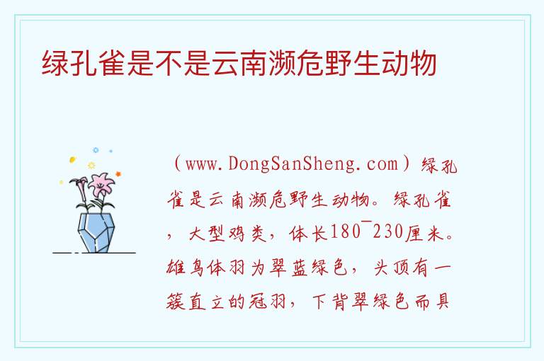 绿孔雀是不是云南濒危野生动物 