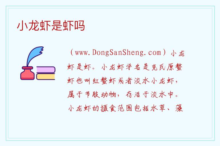 小龙虾是虾吗 