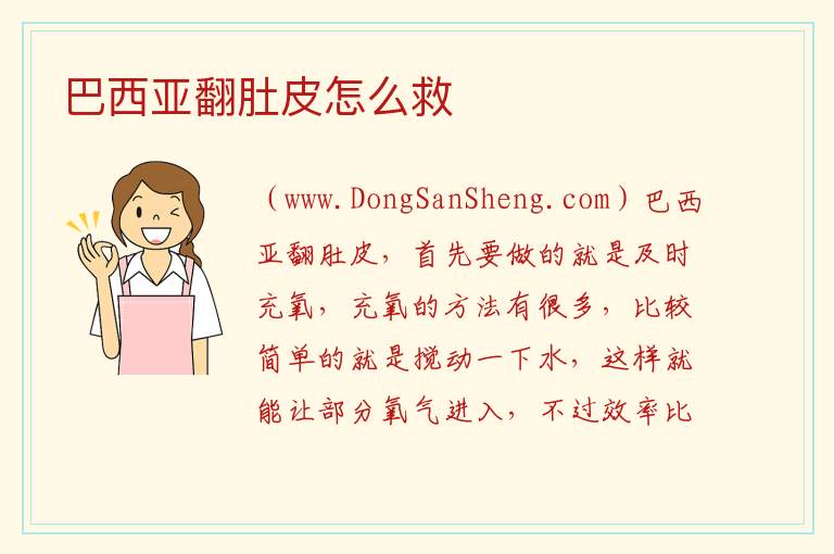 巴西亚翻肚皮怎么救 鱼翻肚子没死怎么救