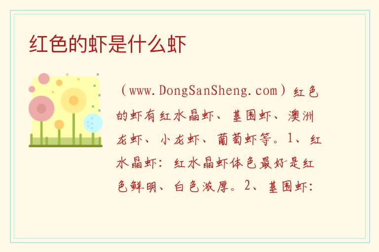 红色的虾是什么虾 