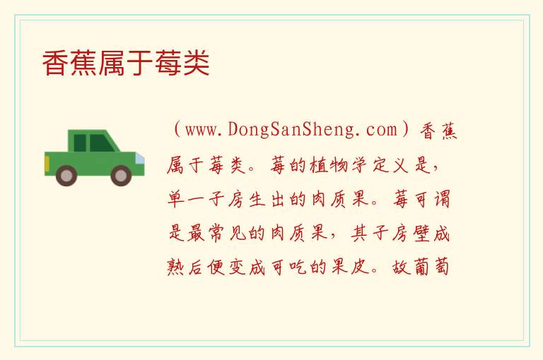 香蕉属于莓类 