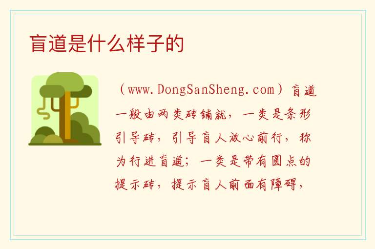 盲道是什么样子的 