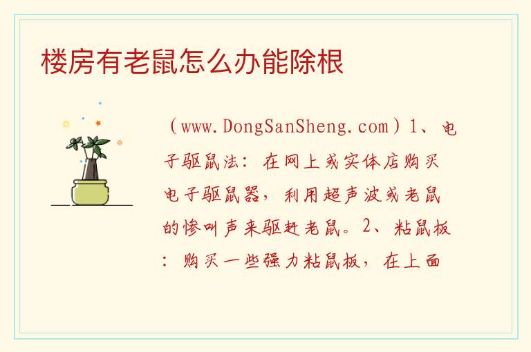 楼房有老鼠怎么办能除根 