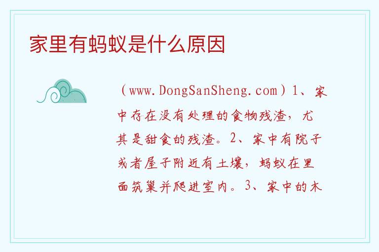 家里有蚂蚁是什么原因 