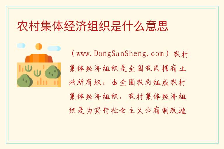 农村集体经济组织是什么意思 