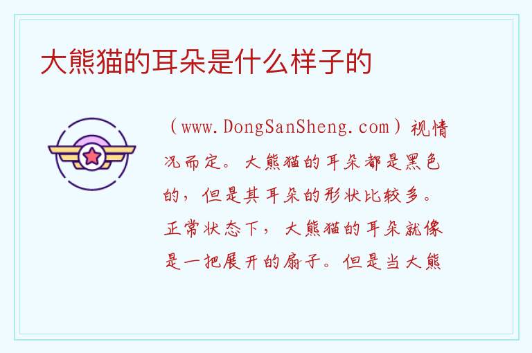 大熊猫的耳朵是什么样子的 