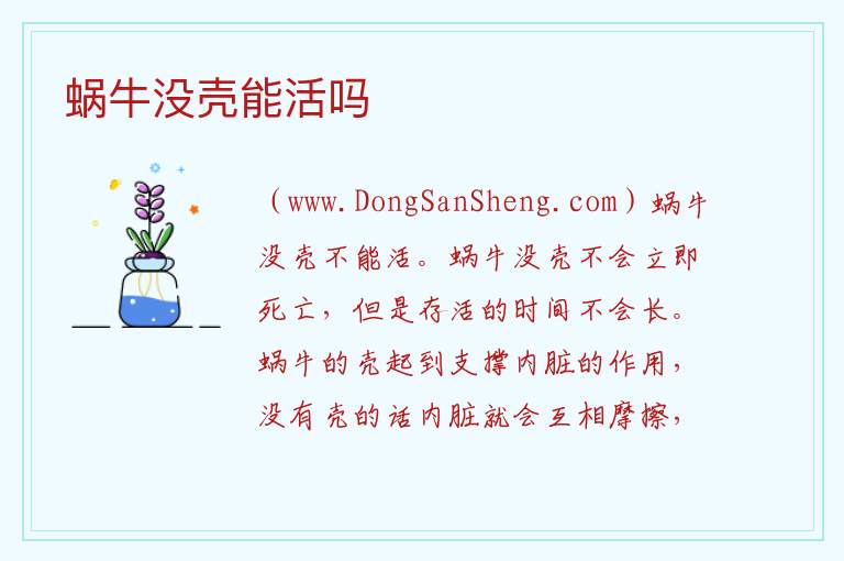 蜗牛没壳能活吗 
