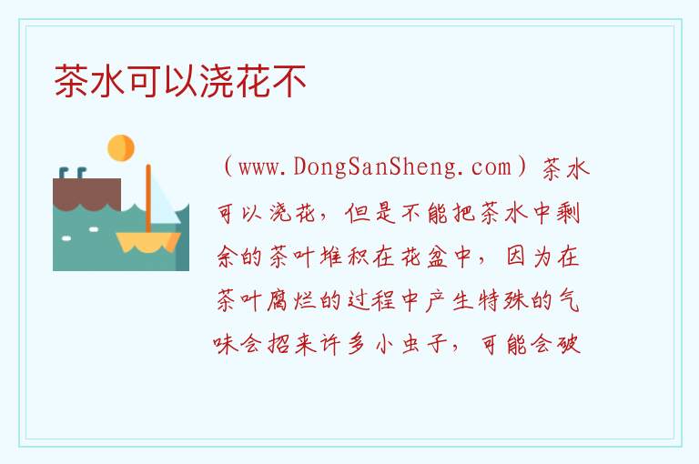 茶水可以浇花不 
