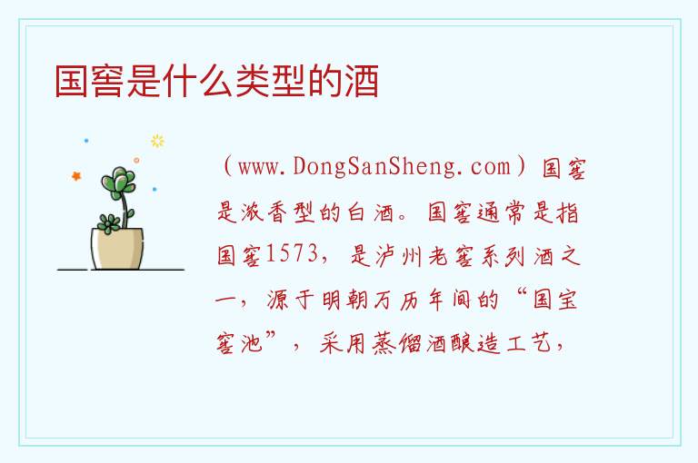 国窖是什么类型的酒 