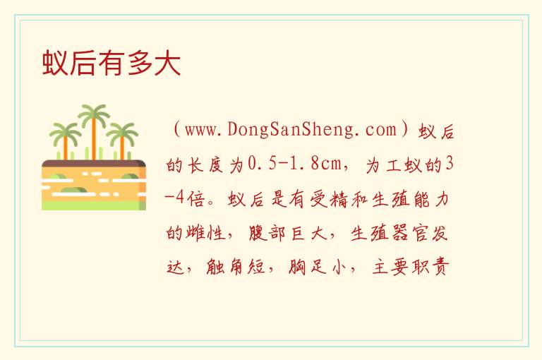 蚁后有多大 