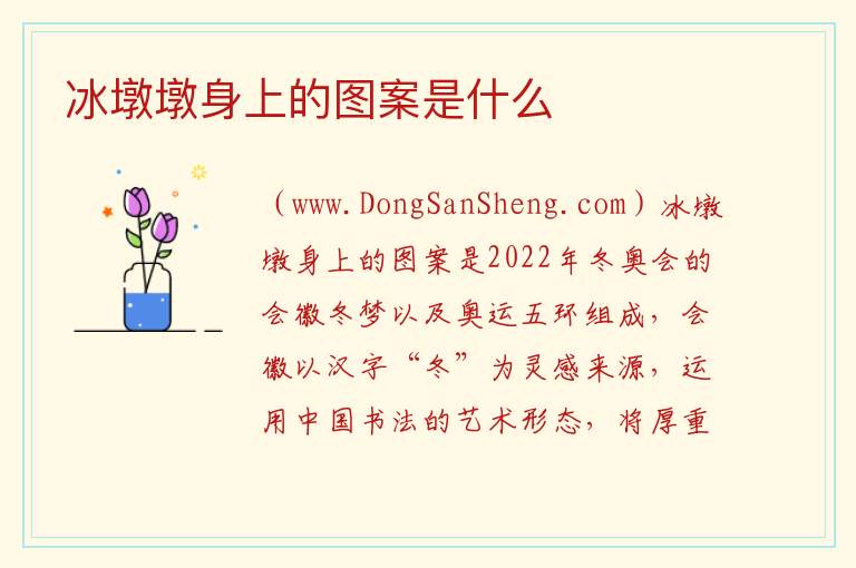 冰墩墩身上的图案是什么 