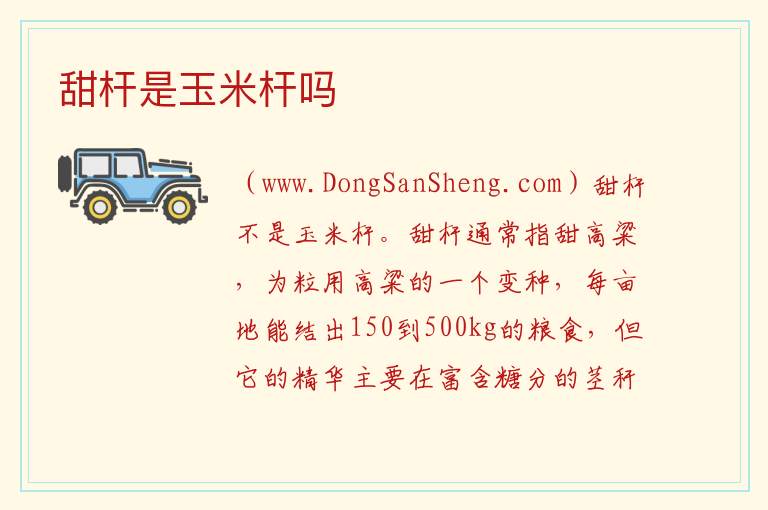 甜杆是玉米杆吗 