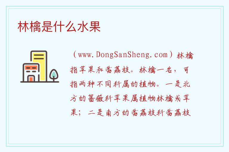 林檎是什么水果 