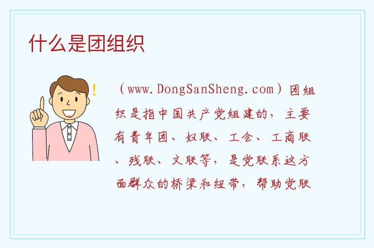 什么是团组织 