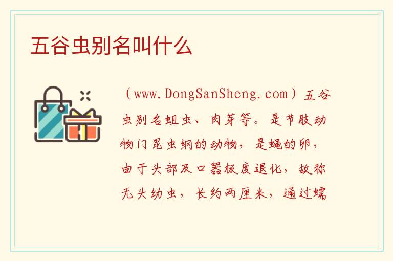 五样子虫学名叫啥，五样子虫学名叫啥