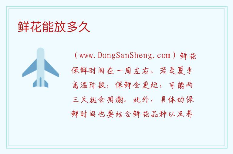 鲜花能放多久 