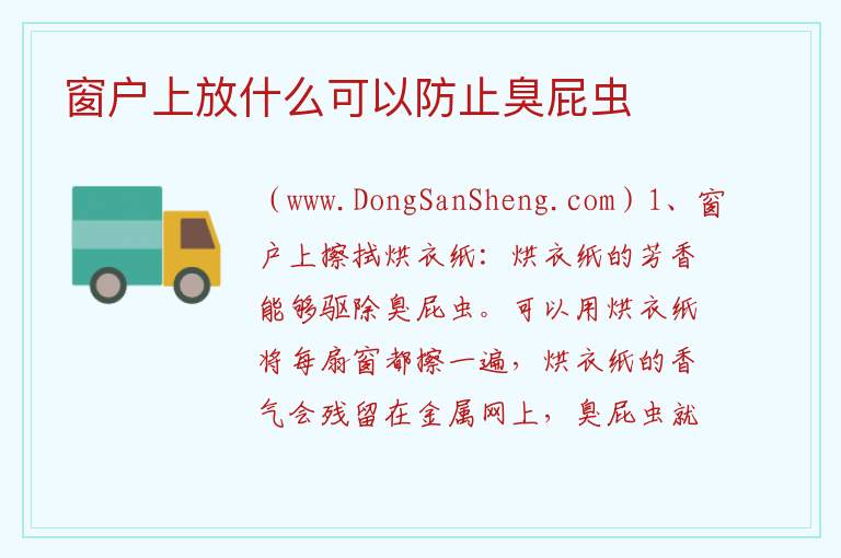 窗户上放什么可以防止臭屁虫 