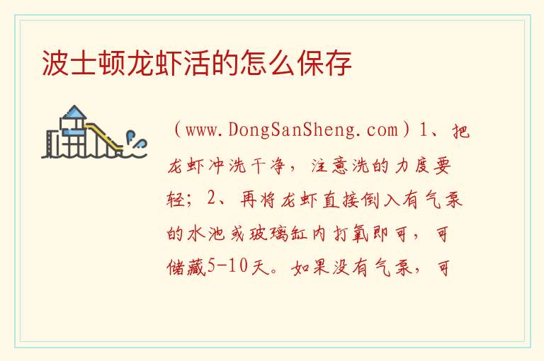 波士顿龙虾活的怎么保存 