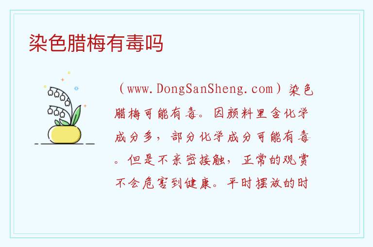 染色腊梅有毒吗 