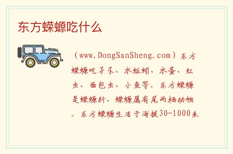 东方蝾螈吃龟粮吗，东方蝾螈吃龟粮吗