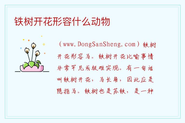 铁树开花形容什么动物 铁树开花的生肖正确答案