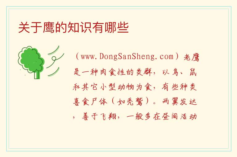 关于鹰的知识有哪些 