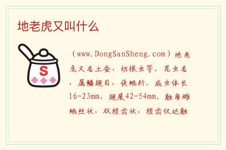 地老虎又叫什么 