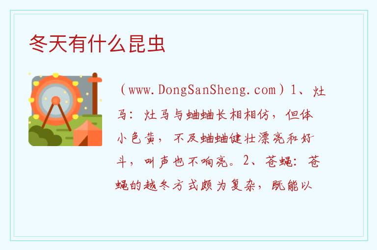 冬天有什么昆虫 