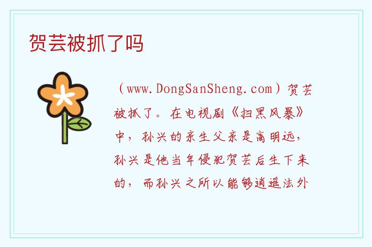 贺芸被抓了吗 