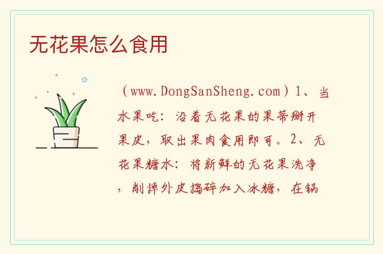 无花果怎么食用 