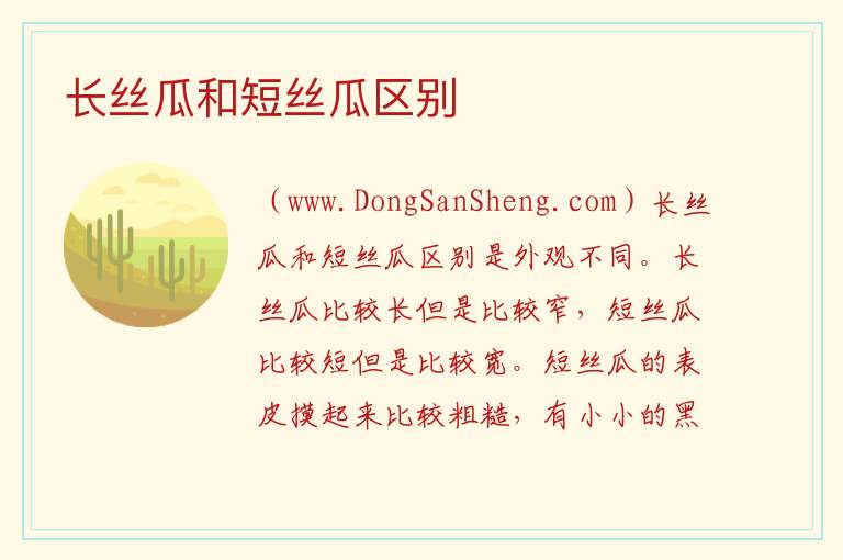 长丝瓜和短丝瓜区别 