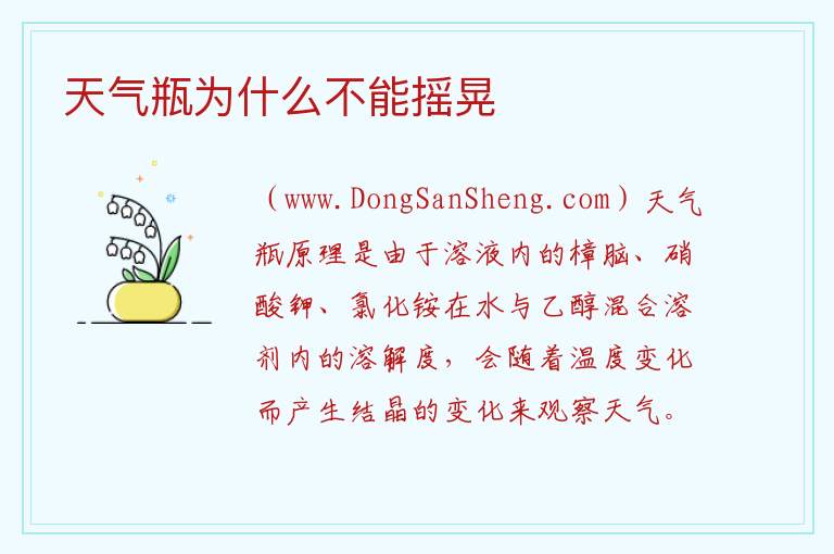 天气瓶为什么不能摇晃 