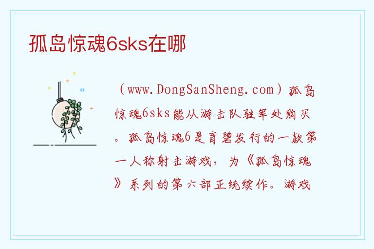 孤岛惊魂6sks在哪 