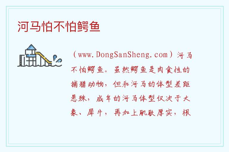 河马能打得过鳄鱼吗，河马能打得过鳄鱼吗