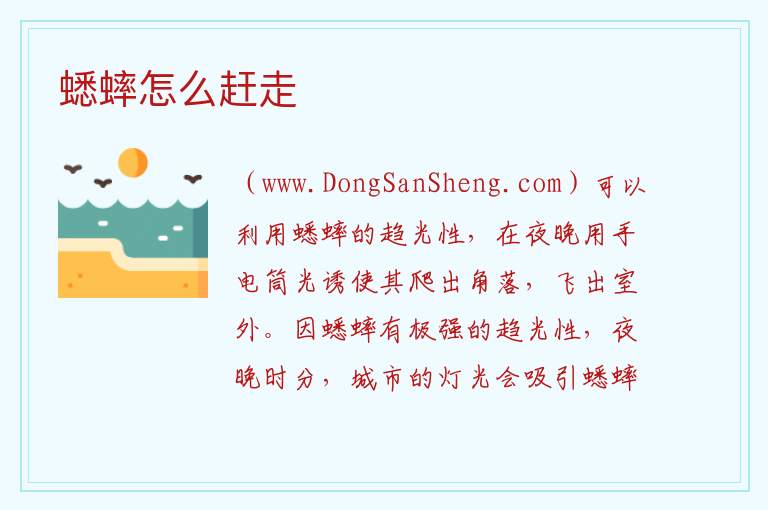 蟋蟀怎么赶走 