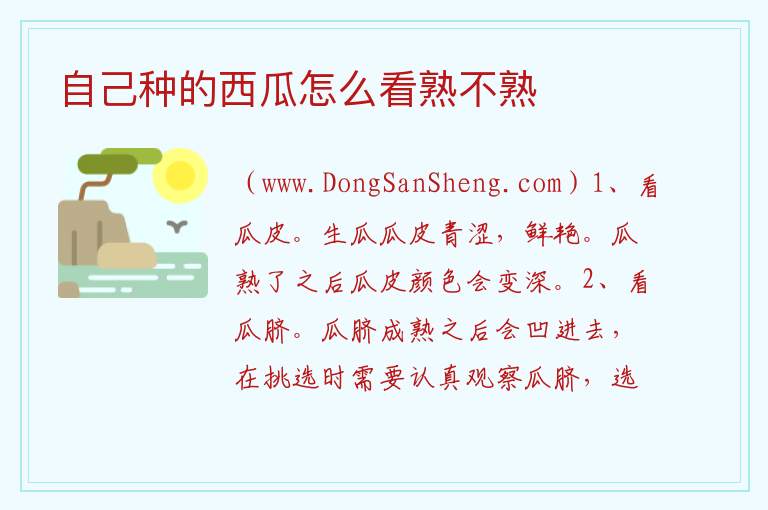 自己种的西瓜怎么看熟不熟 