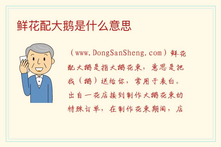鲜花配大鹅是什么意思 